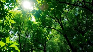 Pădure verde cu circuite digitale luminoase.