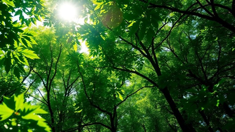 Beneficiile colaborării între tehnologie și ecologie: o sinergie pentru viitor