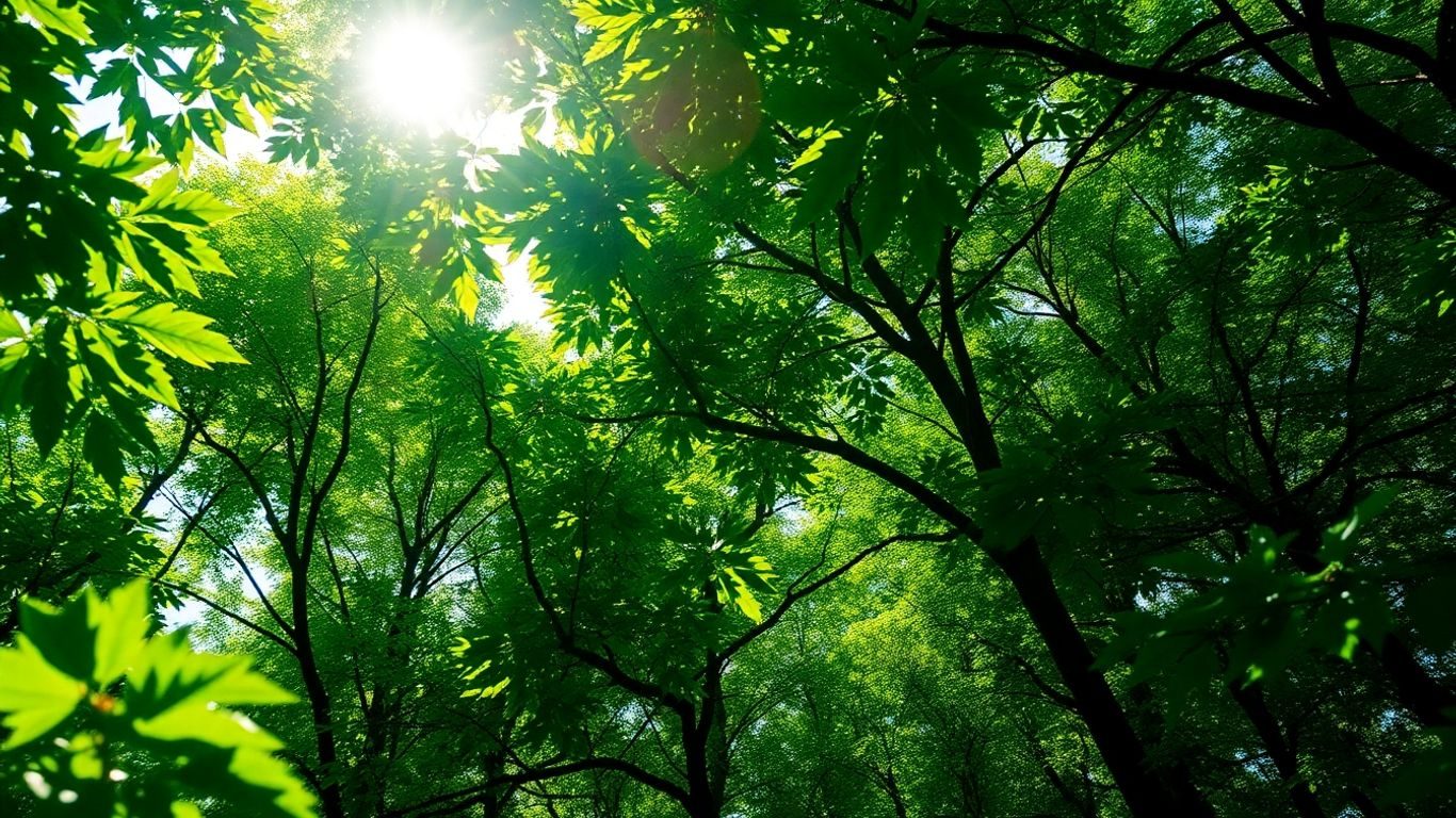 Pădure verde cu circuite digitale luminoase.